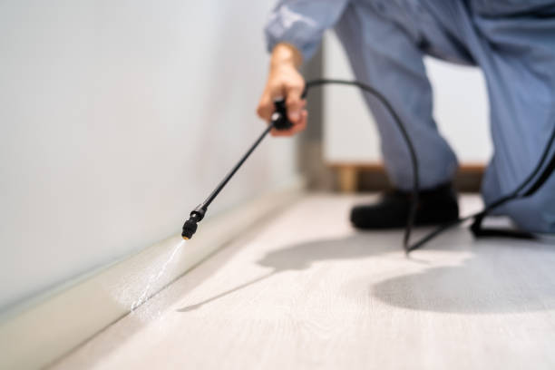Licensed Mosquito Control service in Constantine, MI - Show Me Pest Control