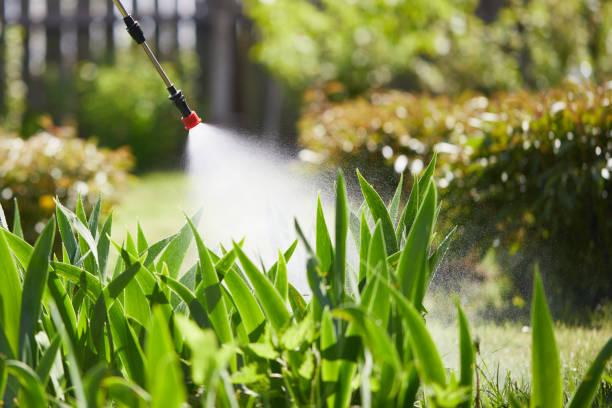24/7 Emergency Mosquito Control experts in Constantine, MI