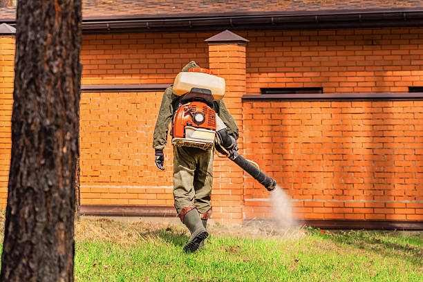 Top rated local Mosquito Control specialists in Constantine, MI